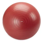 65cm Medium Weighted Stability Ball